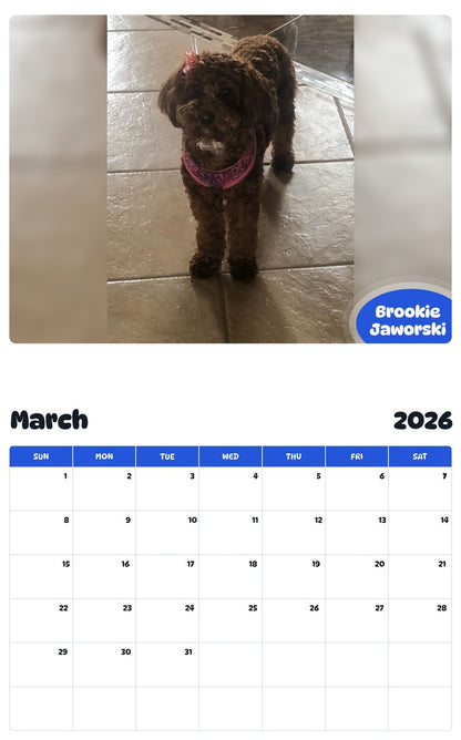 November 2025 - October 2026 Brookie Jaworski - Pawidols Pet Calendar