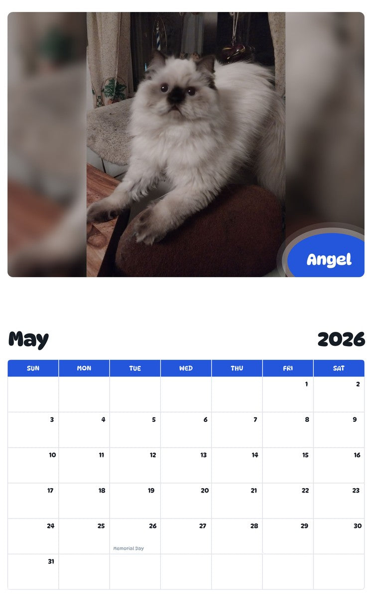 2026 - 2027 Angel - Pawidols Pet Calendar