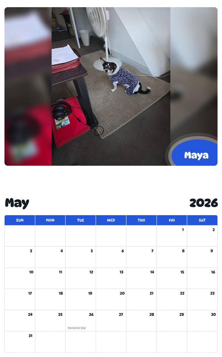 2026 - 2027 Maya - Pawidols Pet Calendar