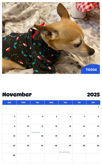 July 2025 - June 2026 Tojoe - Pawidols Pet Calendar