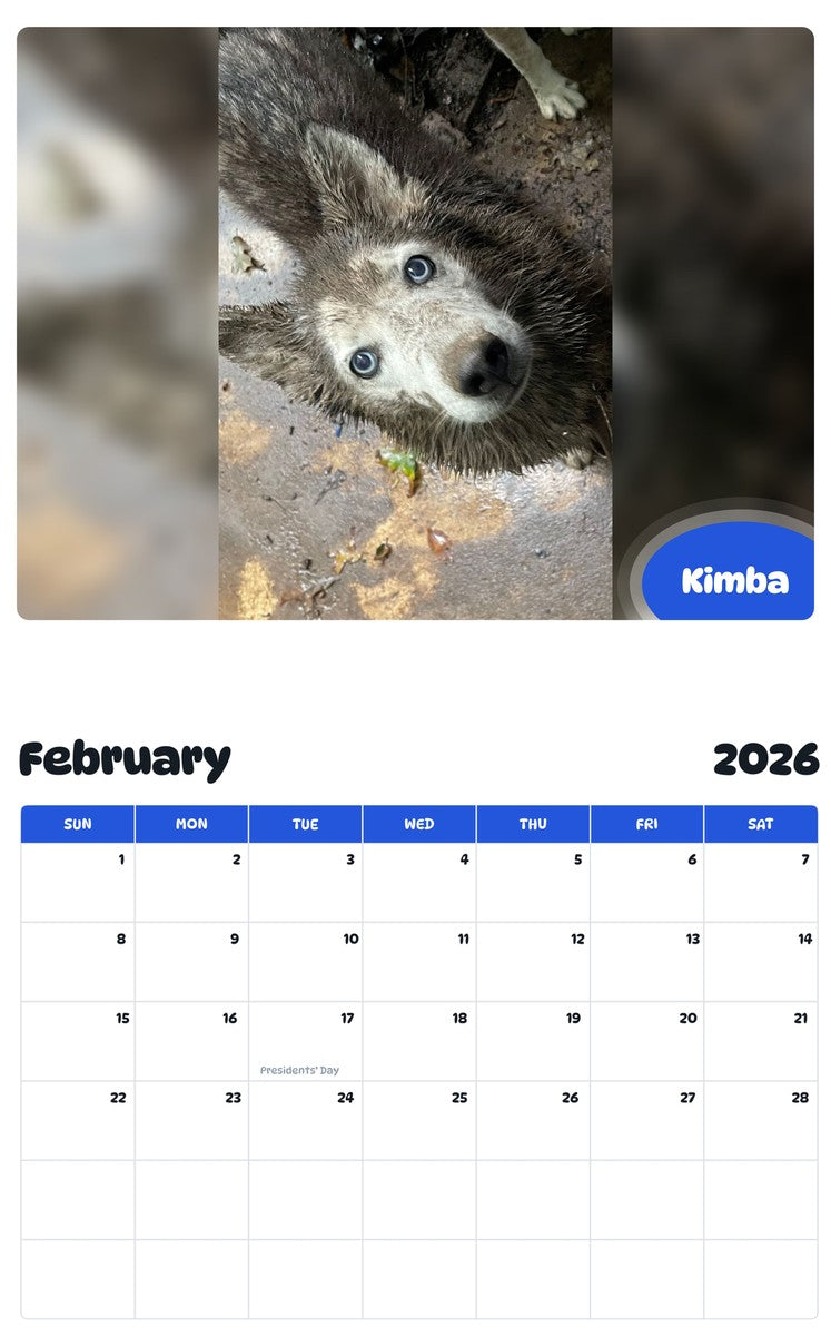 October 2025 - September 2026 Kimba - Pawidols Pet Calendar
