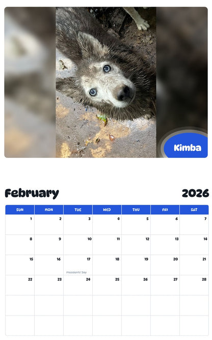 October 2025 - September 2026 Kimba - Pawidols Pet Calendar