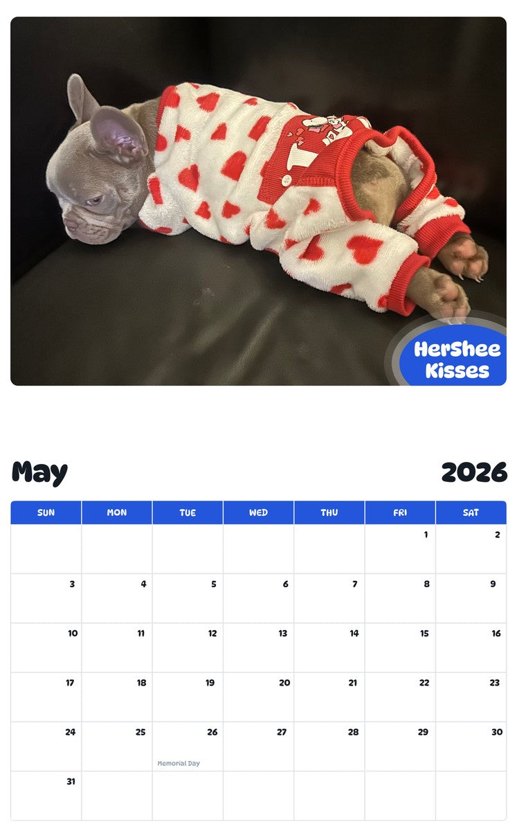 2026 - 2027 HerShee Kisses - Pawidols Pet Calendar