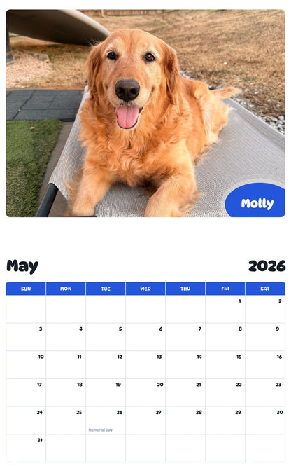 2026 - 2027 Molly - Pawidols Pet Calendar