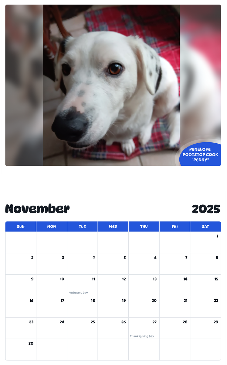 July 2025 - June 2026 Penelope Pootstop Cook "Penny" - Pawidols Pet Calendar