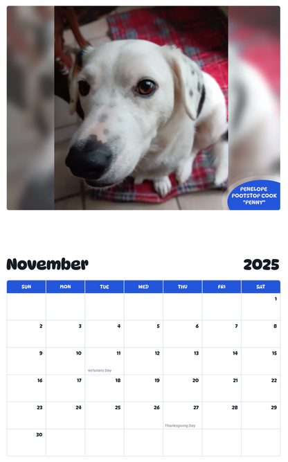 July 2025 - June 2026 Penelope Pootstop Cook "Penny" - Pawidols Pet Calendar