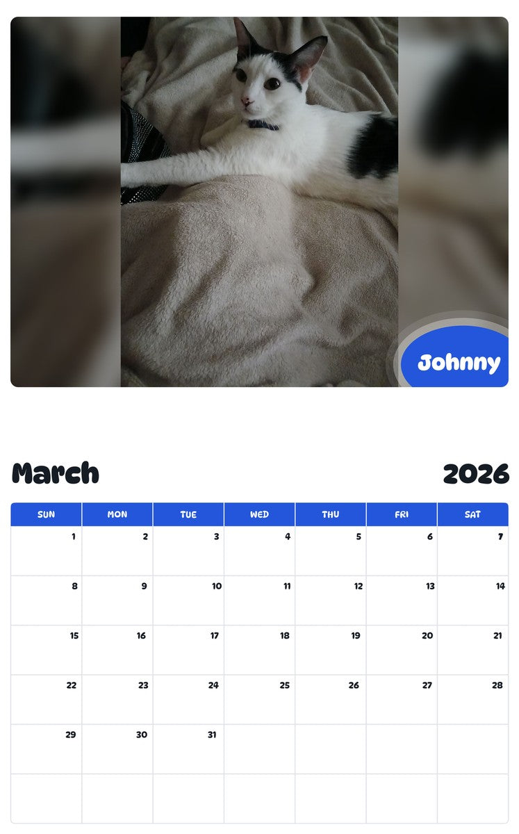 November 2025 - October 2026 Johnny - Pawidols Pet Calendar