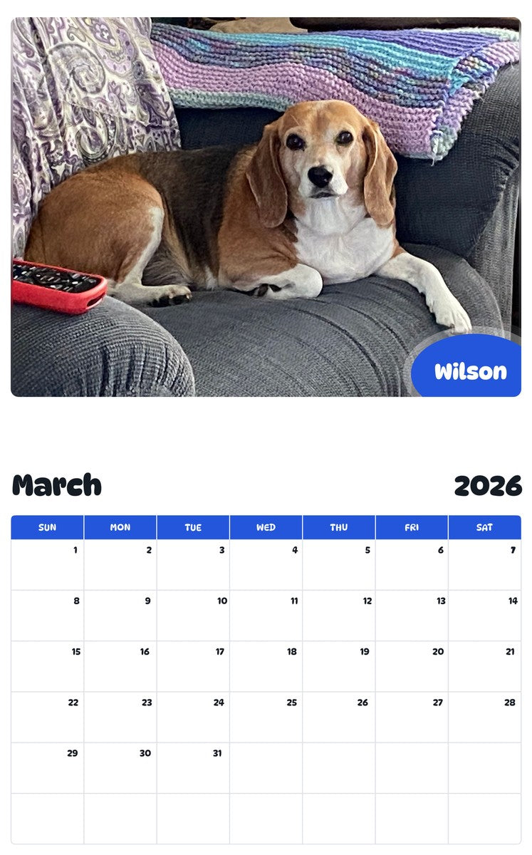 November 2025 - October 2026 Wilson - Pawidols Pet Calendar