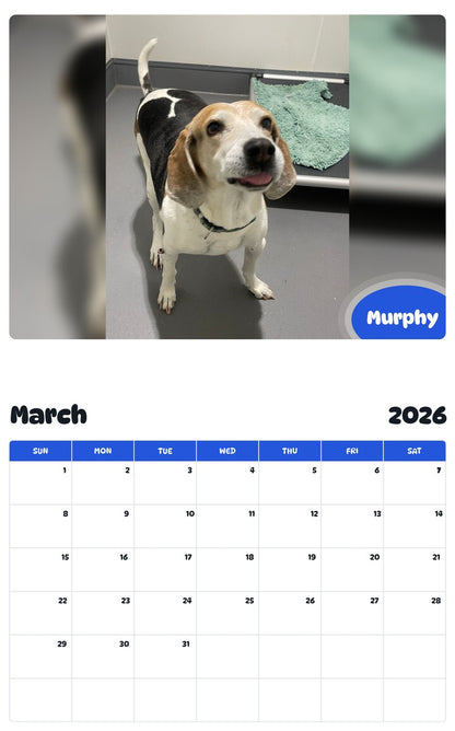 November 2025 - October 2026 Murphy - Pawidols Pet Calendar