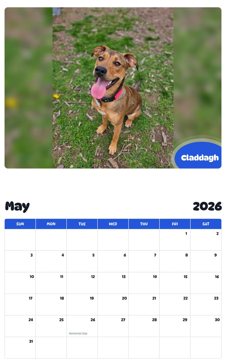 2026 - 2027 Claddagh - Pawidols Pet Calendar
