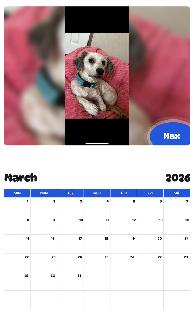 November 2025 - October 2026 Max - Pawidols Pet Calendar