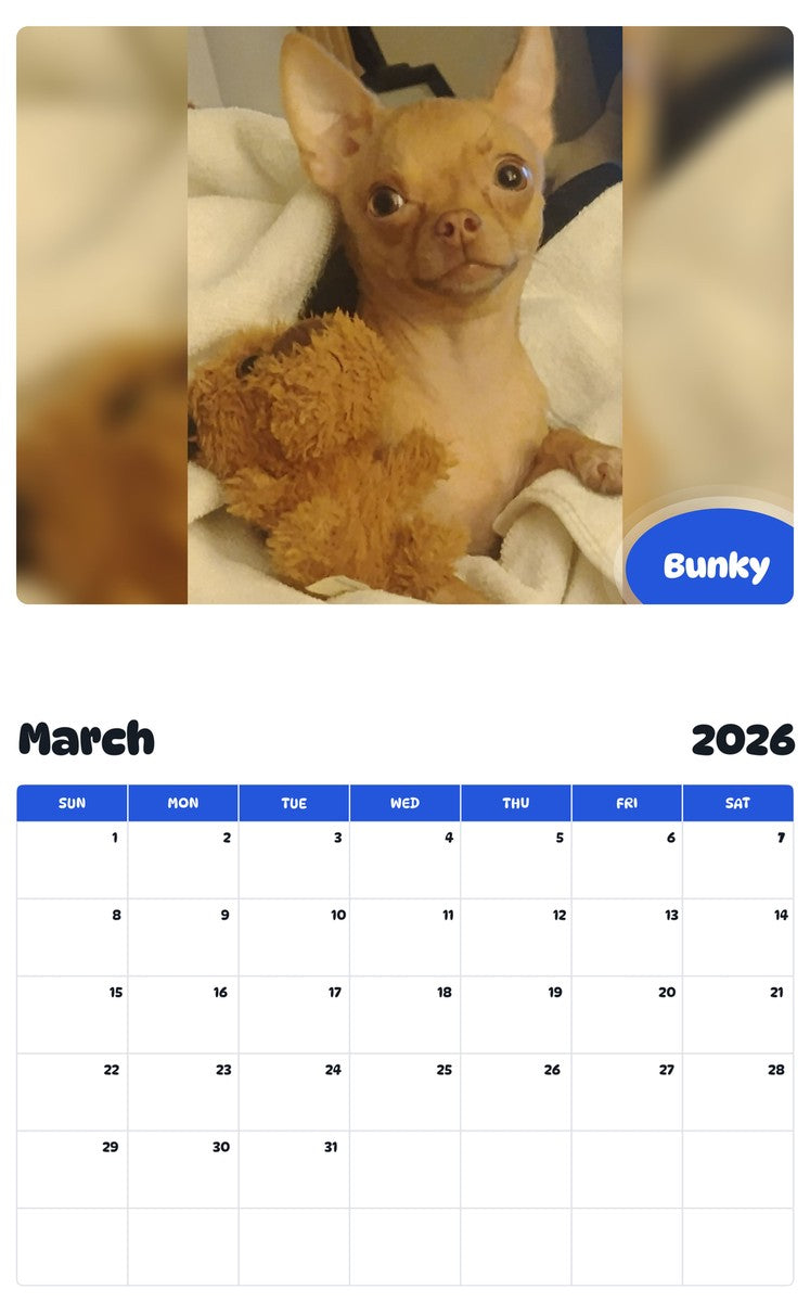 November 2025 - October 2026 Bunky - Pawidols Pet Calendar