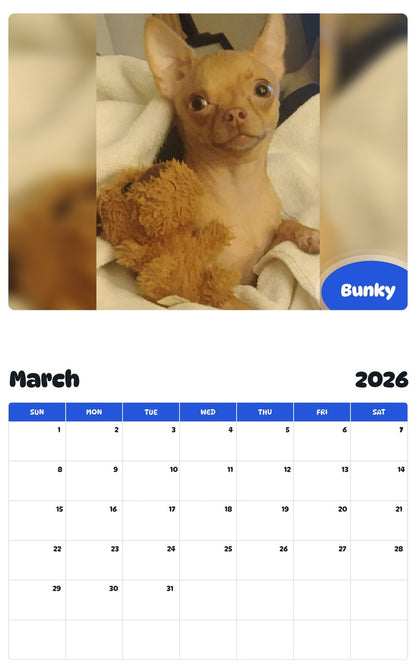 November 2025 - October 2026 Bunky - Pawidols Pet Calendar