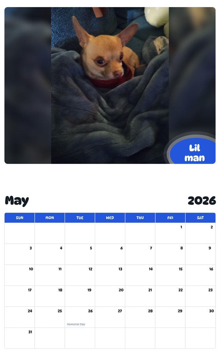 2026 - 2027 Lil man - Pawidols Pet Calendar