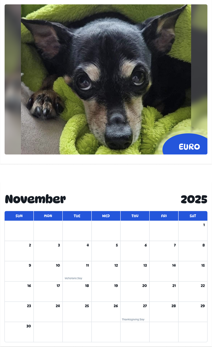 July 2025 - June 2026 Euro - Pawidols Pet Calendar