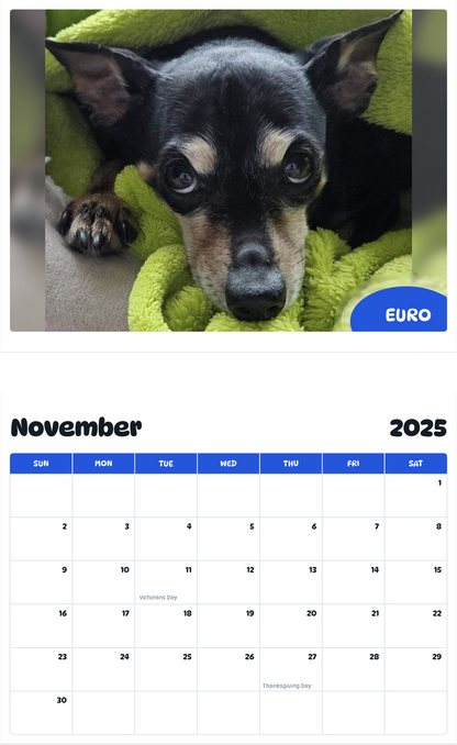 July 2025 - June 2026 Euro - Pawidols Pet Calendar