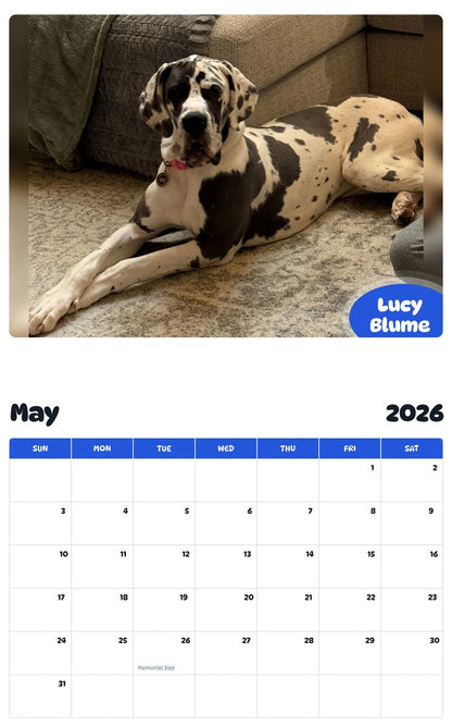 2026 - 2027 Lucy Blume - Pawidols Pet Calendar