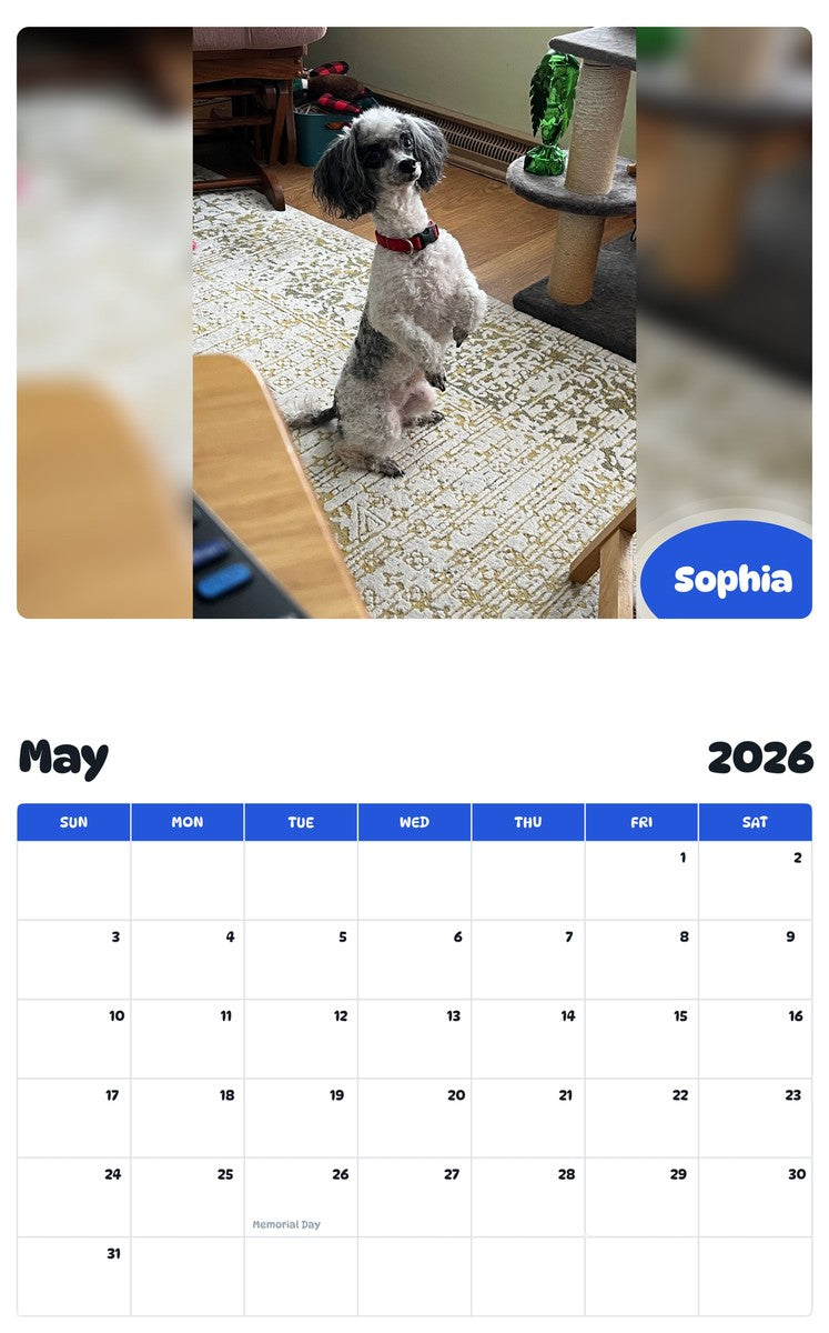 2026 - 2027 Sophia - Pawidols Pet Calendar