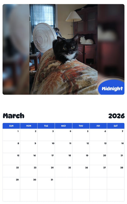 November 2025 - October 2026 Midnight - Pawidols Pet Calendar