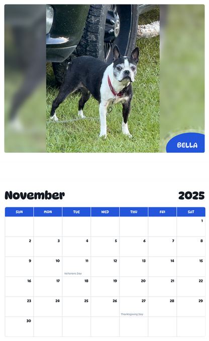 July 2025 - June 2026 Bella - Pawidols Pet Calendar