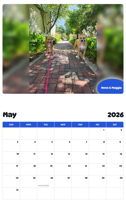 2026 - 2027 Nova & Maggie - Pawidols Pet Calendar