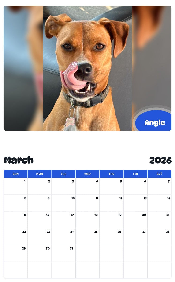 November 2025 - October 2026 Angie - Pawidols Pet Calendar