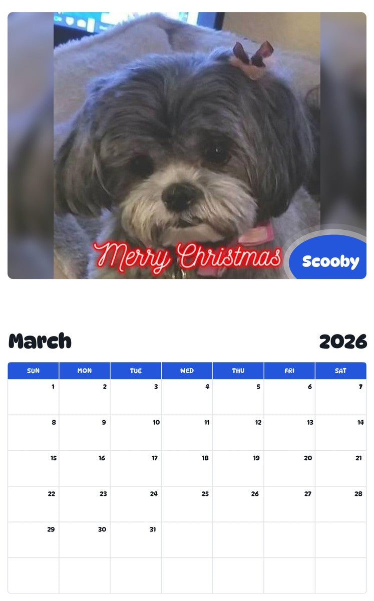 November 2025 - October 2026 Scooby - Pawidols Pet Calendar