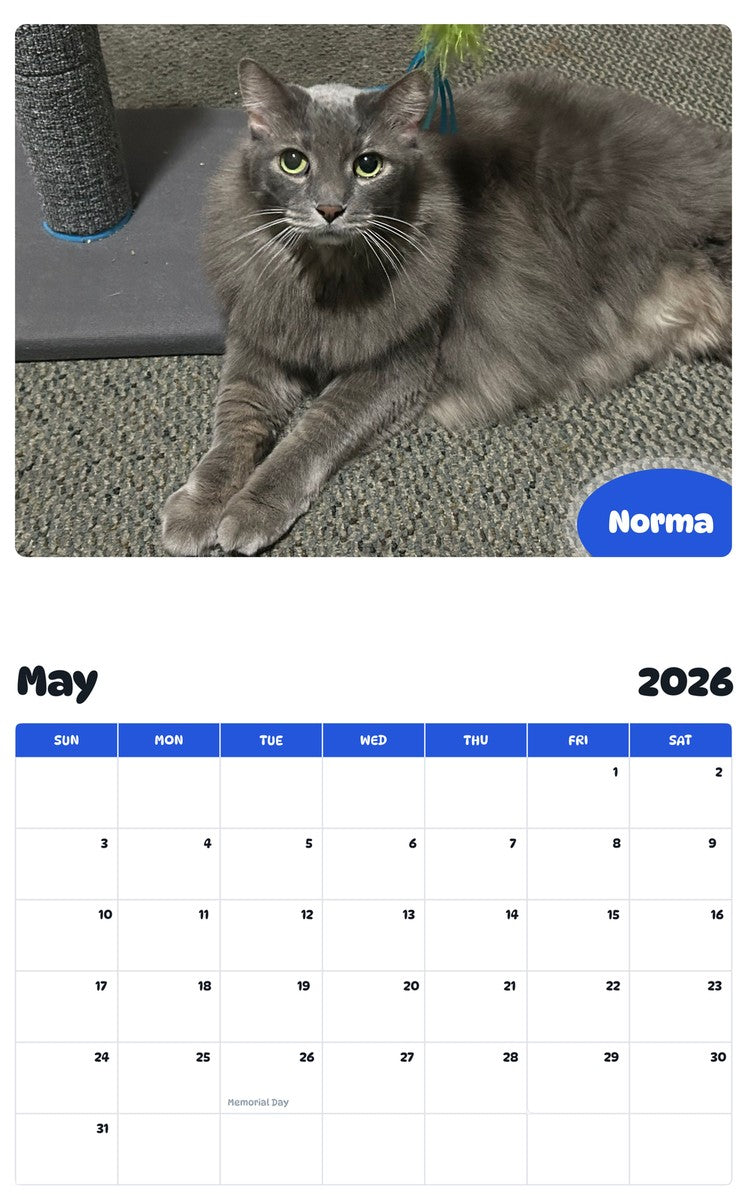 2026 - 2027 Norma - Pawidols Pet Calendar