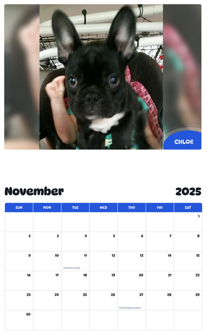 July 2025 - June 2026 Chloe - Pawidols Pet Calendar