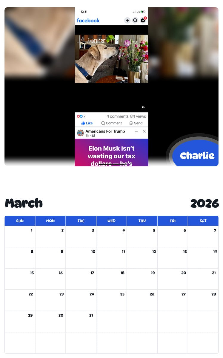 November 2025 - October 2026 Charlie - Pawidols Pet Calendar
