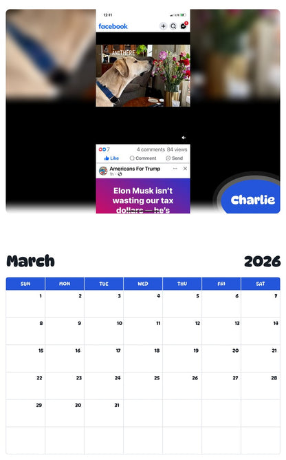 November 2025 - October 2026 Charlie - Pawidols Pet Calendar