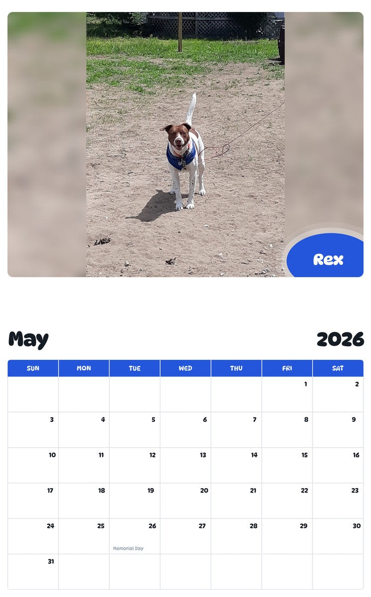 2026 - 2027 Rex - Pawidols Pet Calendar