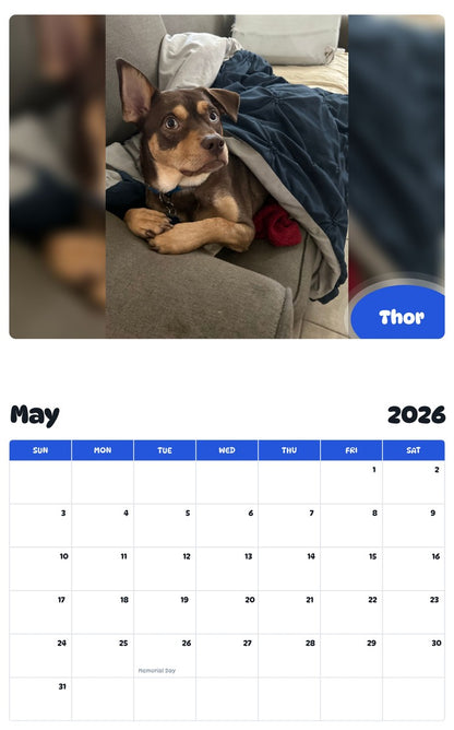2026 - 2027 Thor - Pawidols Pet Calendar
