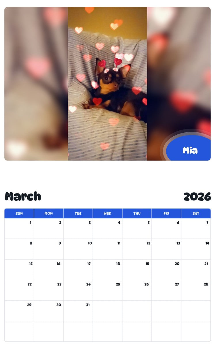November 2025 - October 2026 Mia - Pawidols Pet Calendar