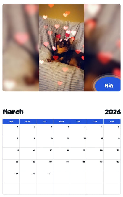November 2025 - October 2026 Mia - Pawidols Pet Calendar