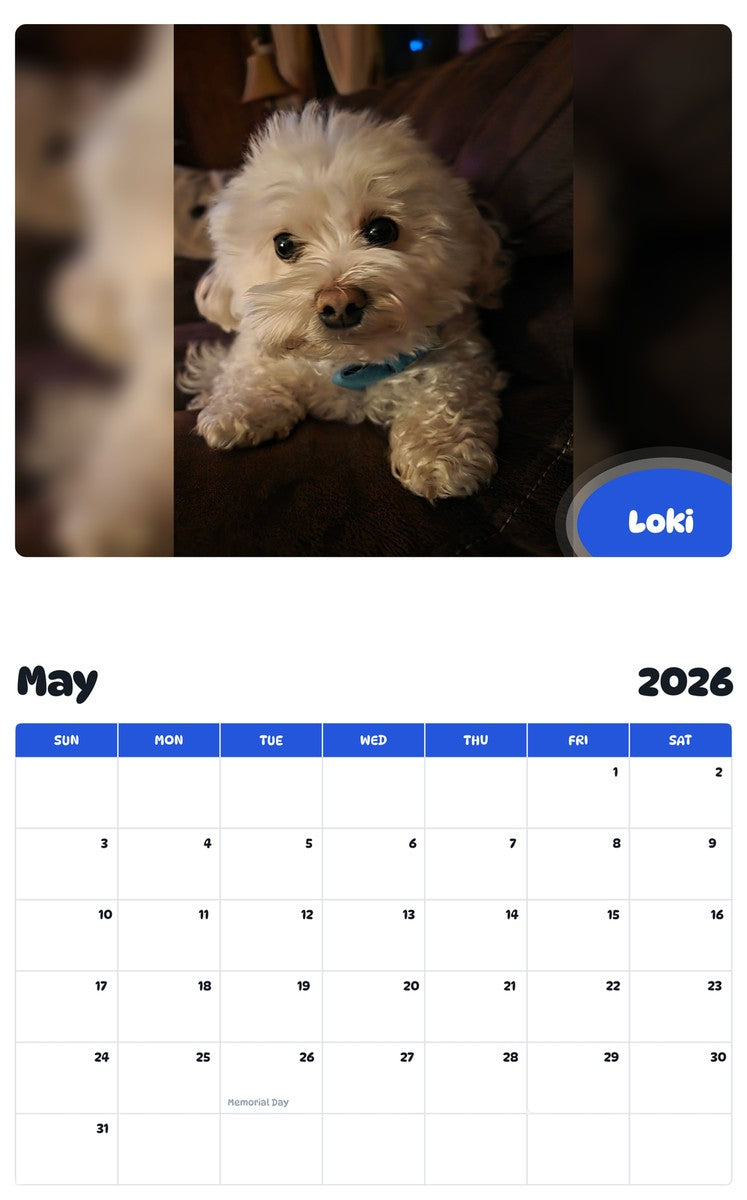 2026 - 2027 Loki - Pawidols Pet Calendar