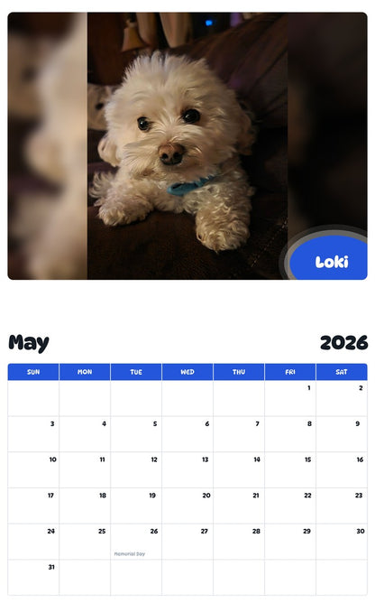 2026 - 2027 Loki - Pawidols Pet Calendar