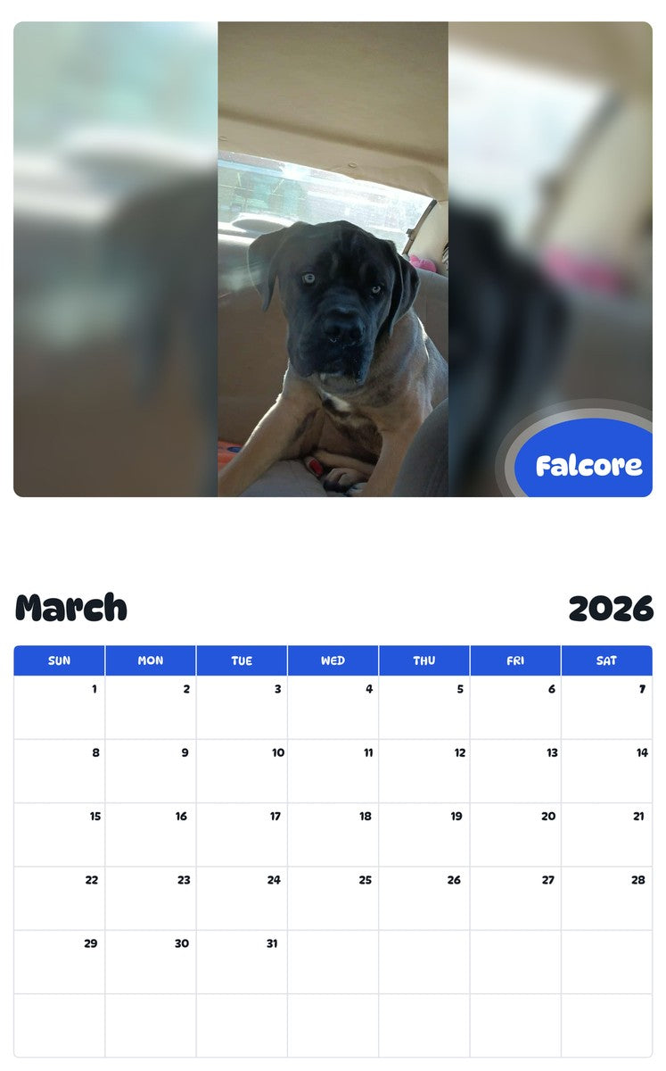 November 2025 - October 2026 Falcore - Pawidols Pet Calendar
