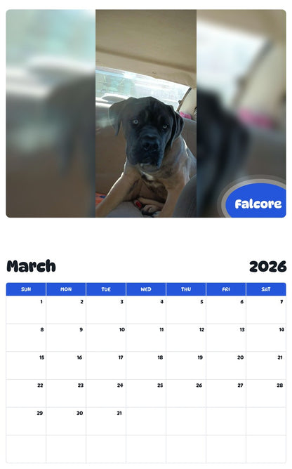 November 2025 - October 2026 Falcore - Pawidols Pet Calendar