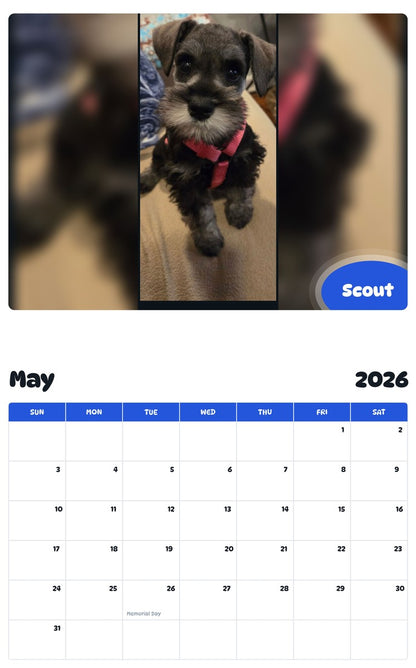2026 - 2027 Scout - Pawidols Pet Calendar