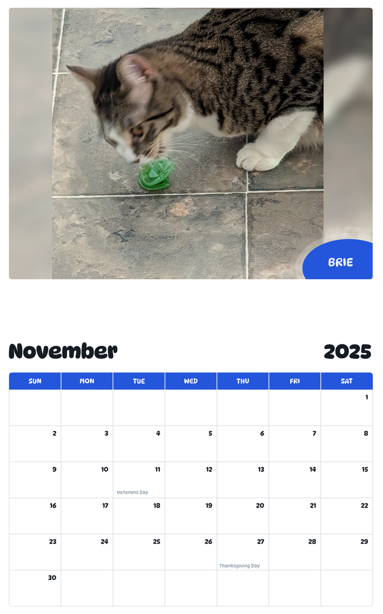 July 2025 - June 2026 Brie - Pawidols Pet Calendar