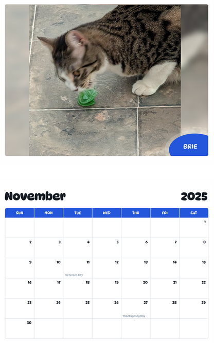 July 2025 - June 2026 Brie - Pawidols Pet Calendar