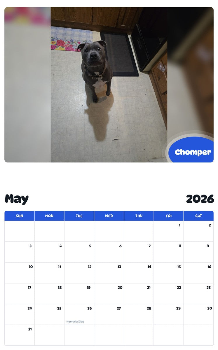 2026 - 2027 Chomper - Pawidols Pet Calendar