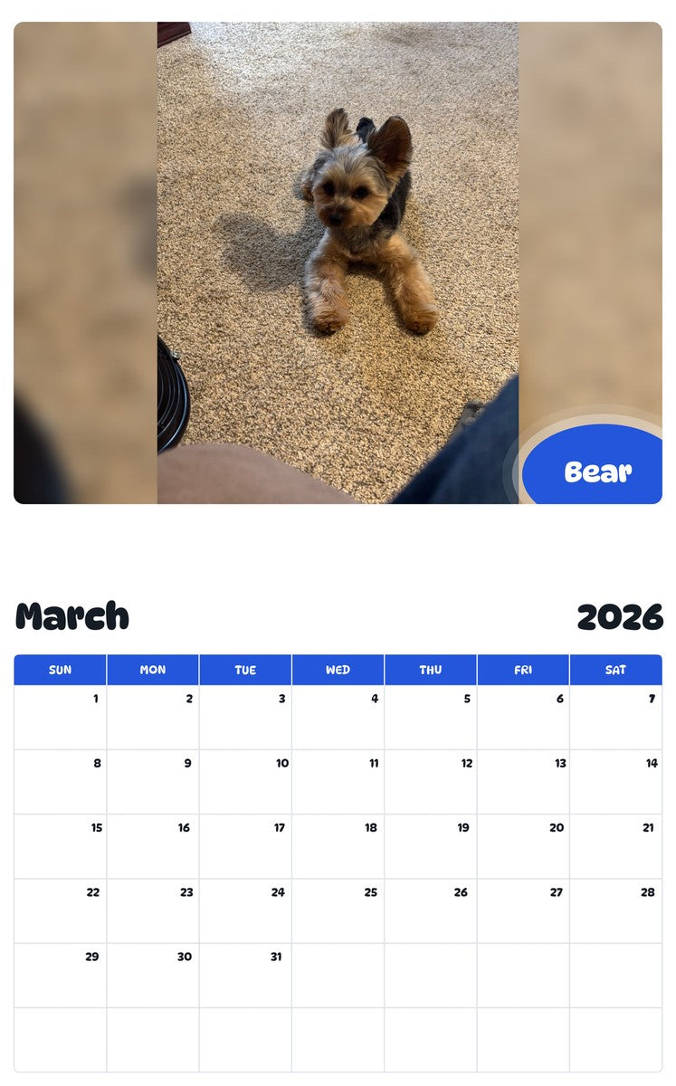 November 2025 - October 2026 Bear - Pawidols Pet Calendar