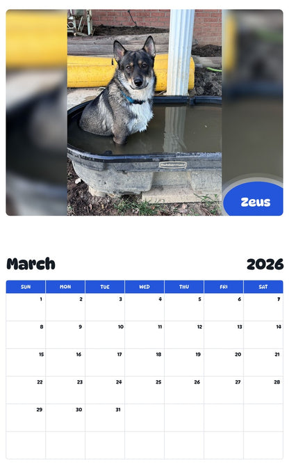 November 2025 - October 2026 Zeus - Pawidols Pet Calendar