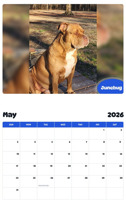 2026 - 2027 Junebug - Pawidols Pet Calendar