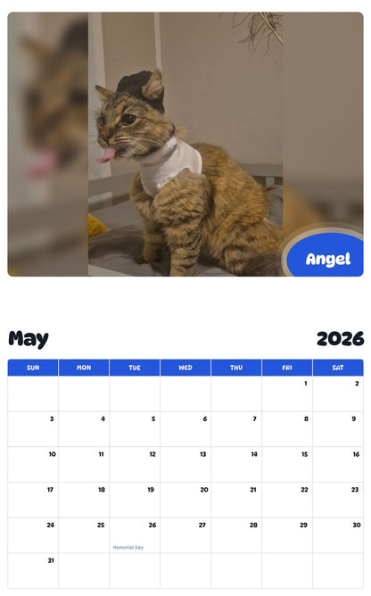 2026 - 2027 Angel - Pawidols Pet Calendar