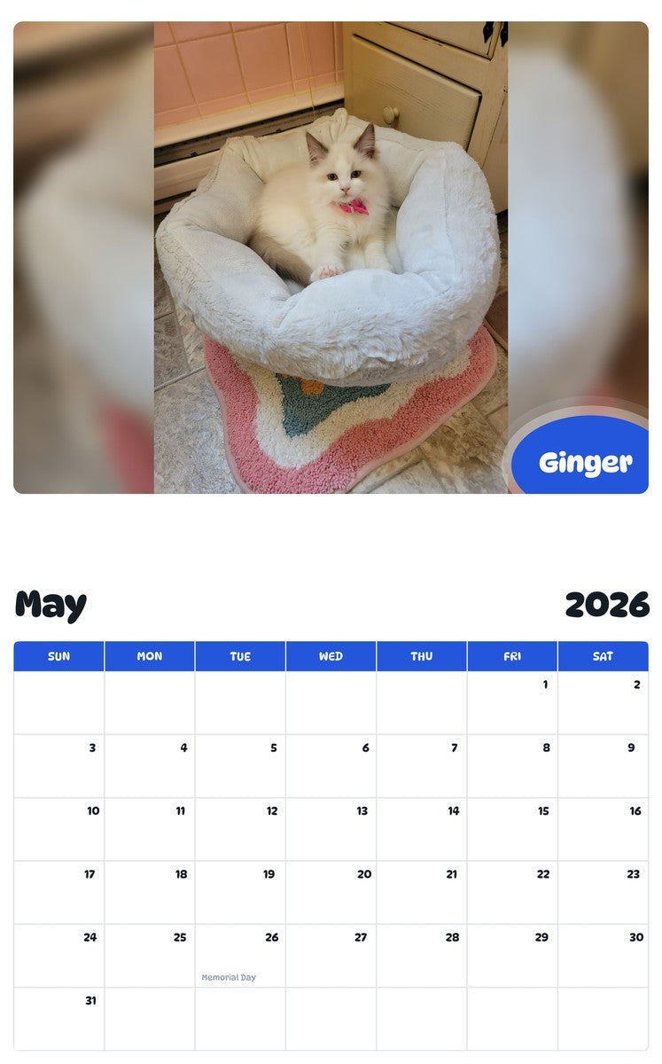 2026 - 2027 Ginger - Pawidols Pet Calendar