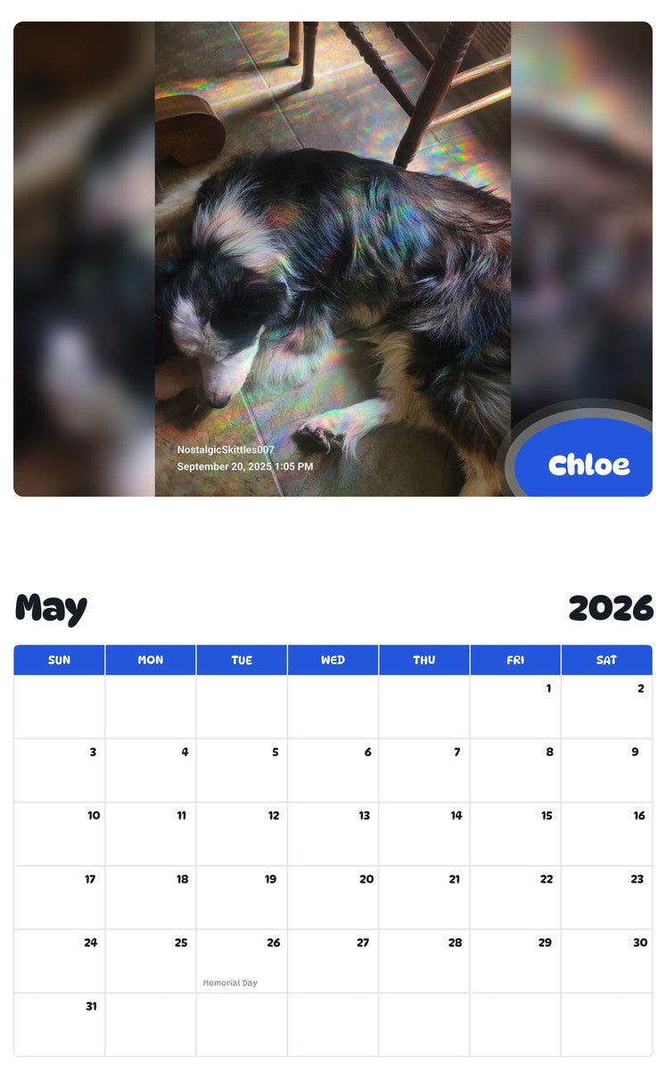 2026 - 2027 Chloe - Pawidols Pet Calendar