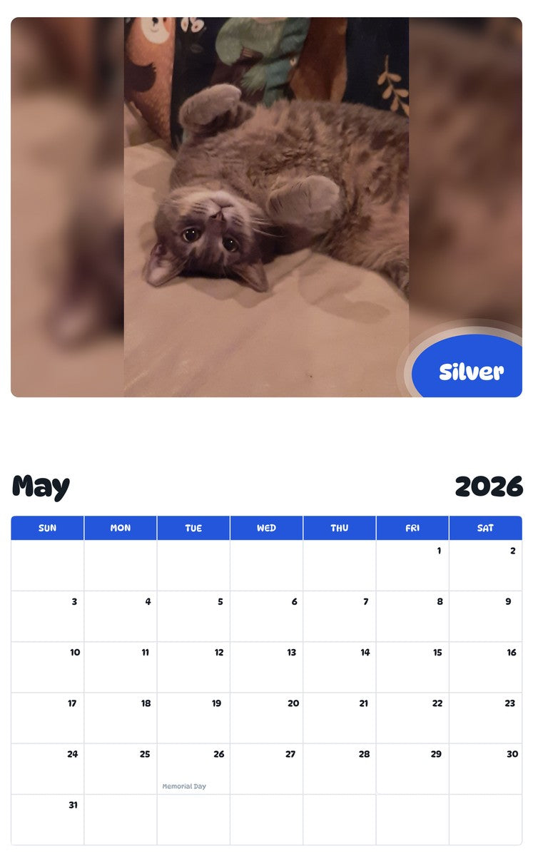 2026 - 2027 Silver - Pawidols Pet Calendar